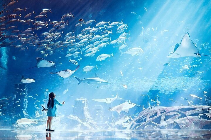 The Lost Chambers Aquarium — image 2