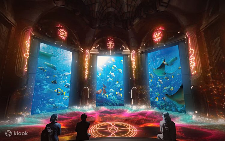 The Lost Chambers Aquarium — image 4