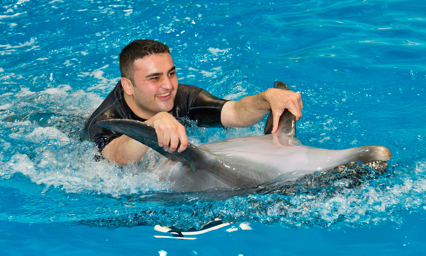 Dubai Dolphinarium VIP Ticket  — image 5